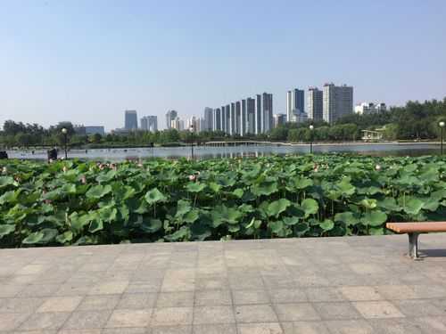 邯郸龙湖公园最适宜季节（邯郸龙湖公园占地面积多少亩）