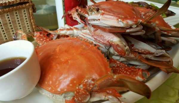 秦皇岛螃蟹是什么蟹（秦皇岛的螃蟹是海蟹吗）